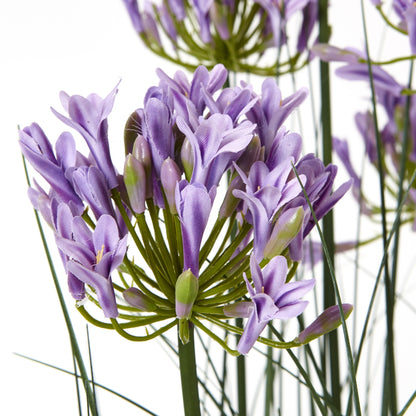 Large Purple Agapanthus Plant In Pot - All Artificial Potted Plants from the Quanta Home collection.