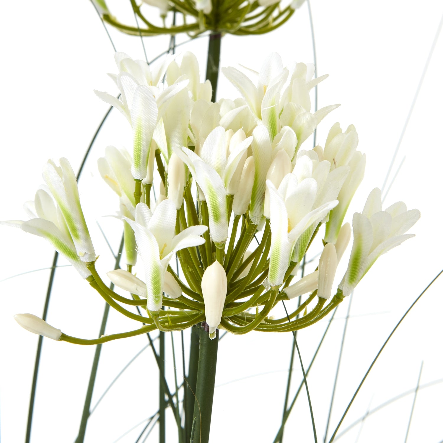 Large White Agapanthus Plant In Pot - All Artificial Potted Plants from the Quanta Home collection.