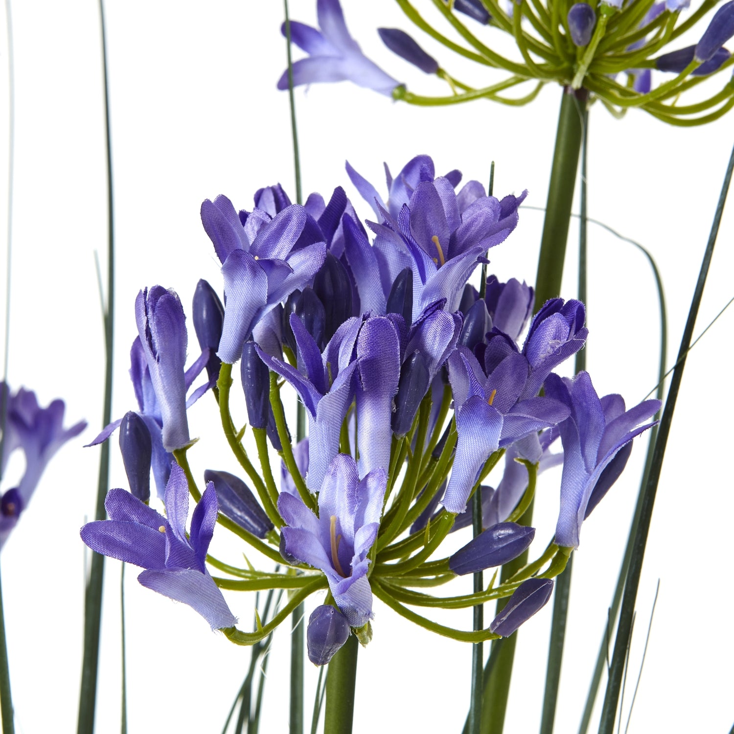 Large Blue Agapanthus Plant In Pot - All Artificial Potted Plants from the Quanta Home collection.