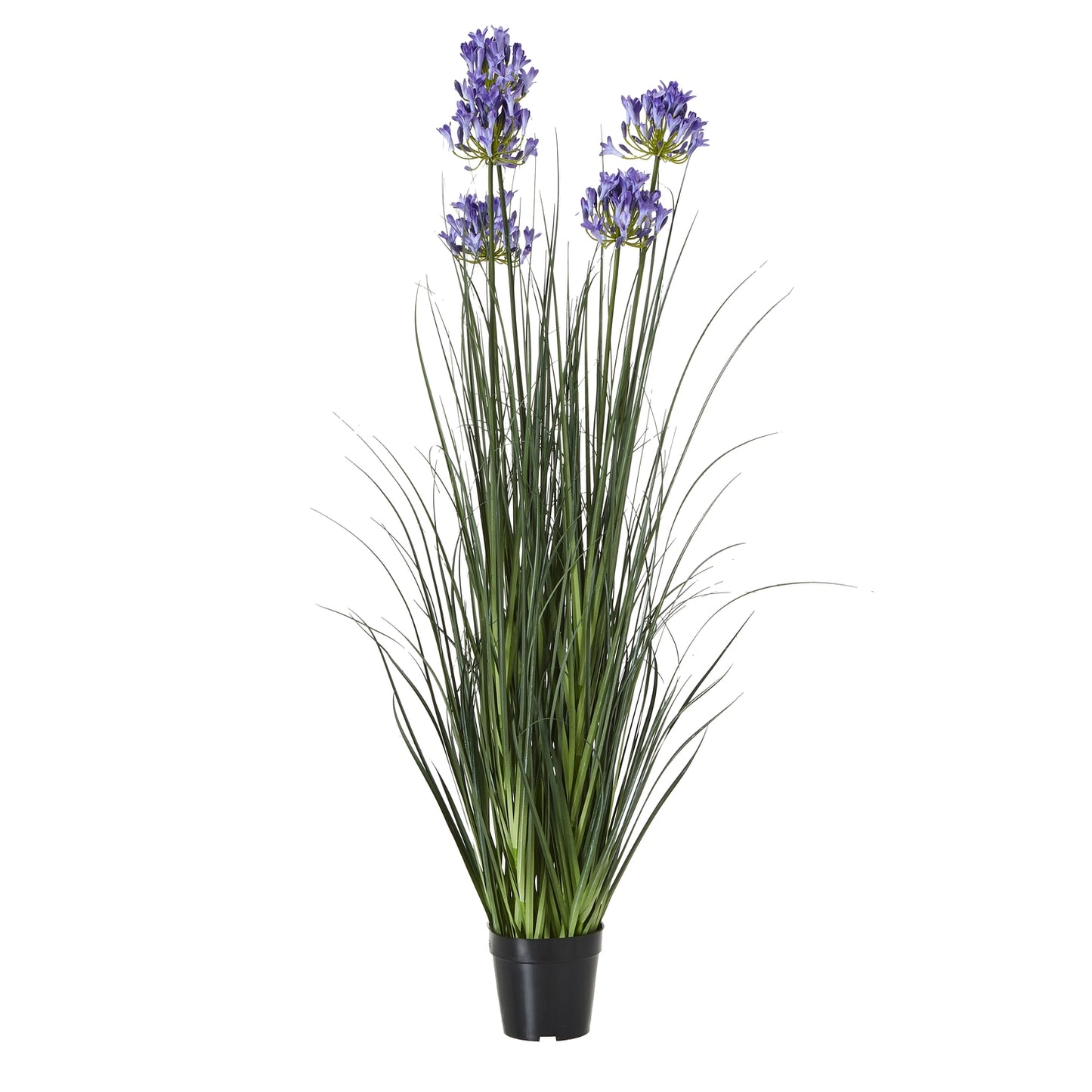 Large Blue Agapanthus Plant In Pot - All Artificial Potted Plants from the Quanta Home collection.