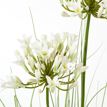 White Agapanthus Plant In Pot - All Artificial Potted Plants from the Quanta Home collection.