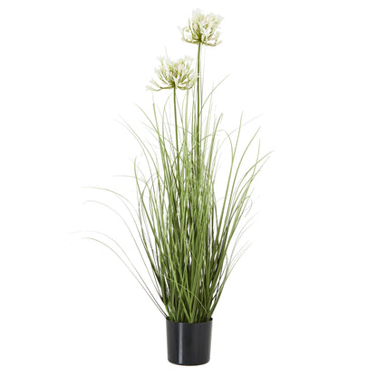White Agapanthus Plant In Pot - All Artificial Potted Plants from the Quanta Home collection.