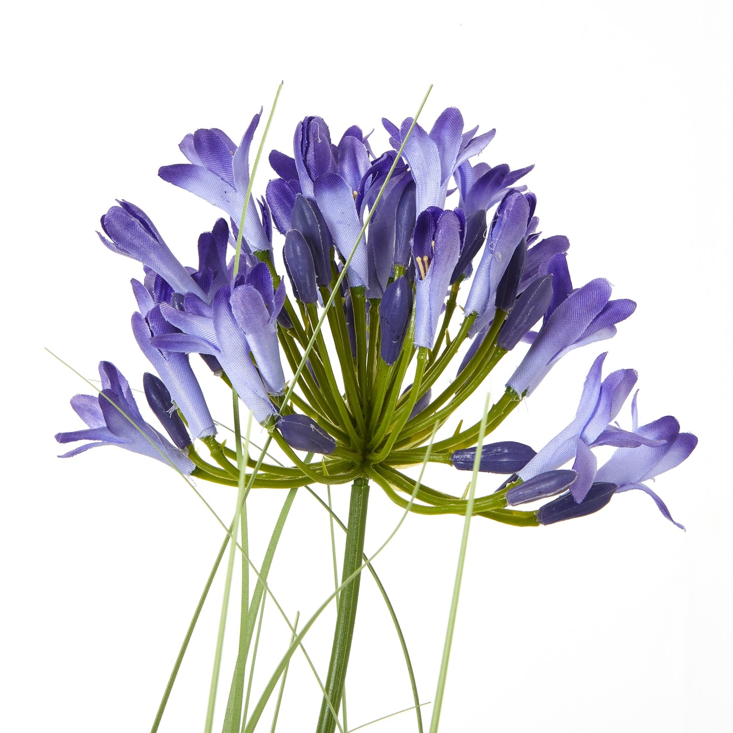 Blue Agapanthus Plant In Pot - All Artificial Potted Plants from the Quanta Home collection.