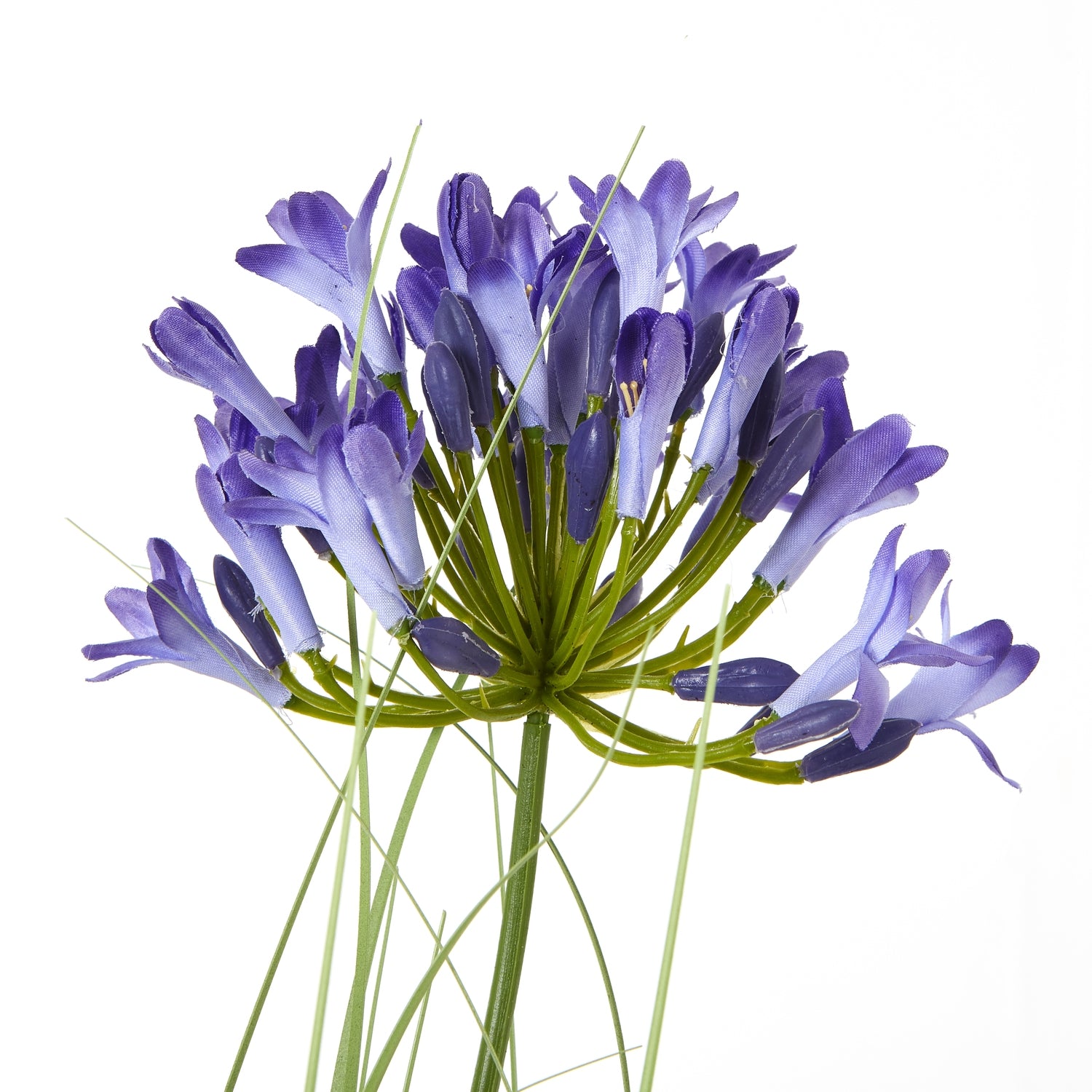 Blue Agapanthus Plant In Pot - All Artificial Potted Plants from the Quanta Home collection.