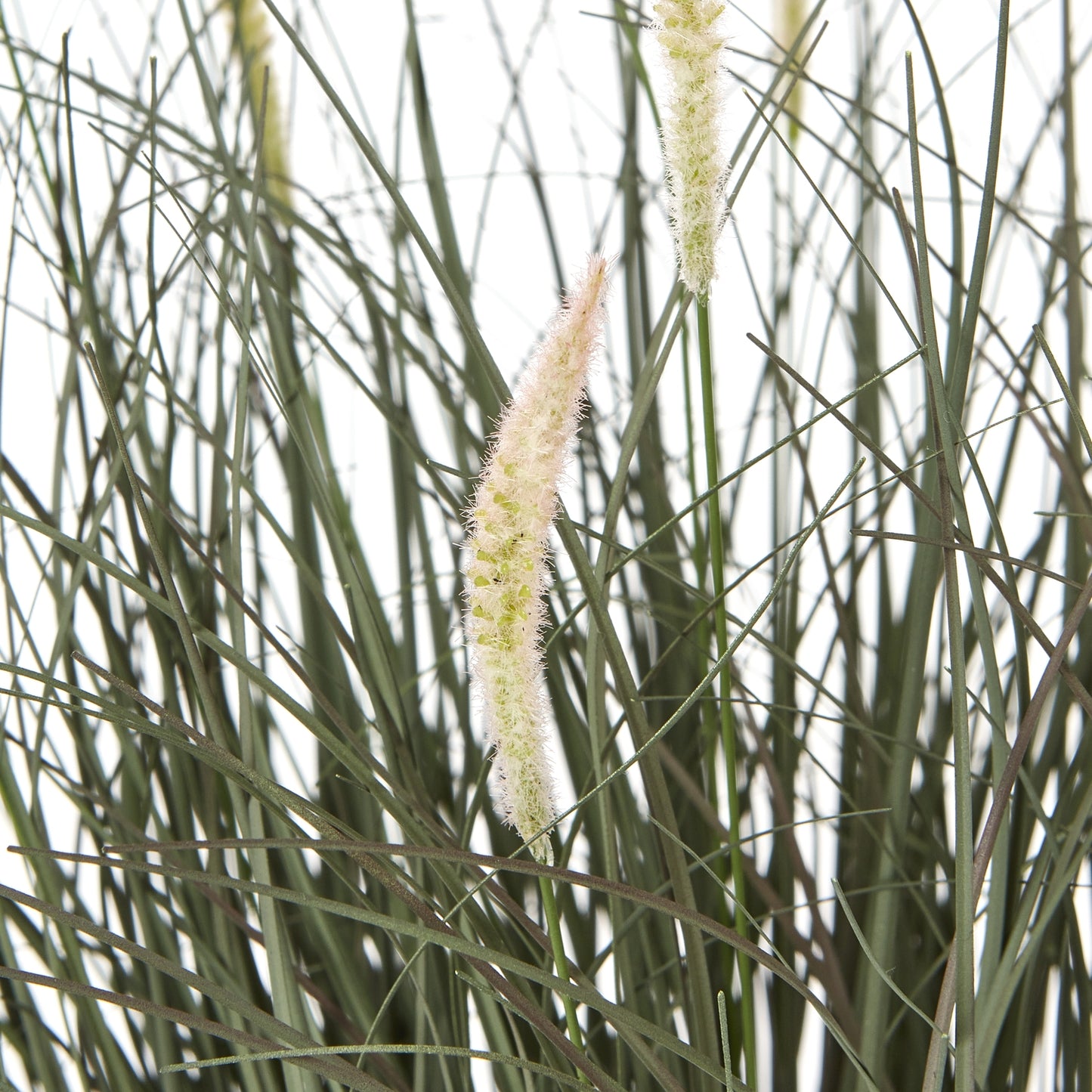 Fountain Grass Plant In Pot - All Artificial Potted Plants from the Quanta Home collection.