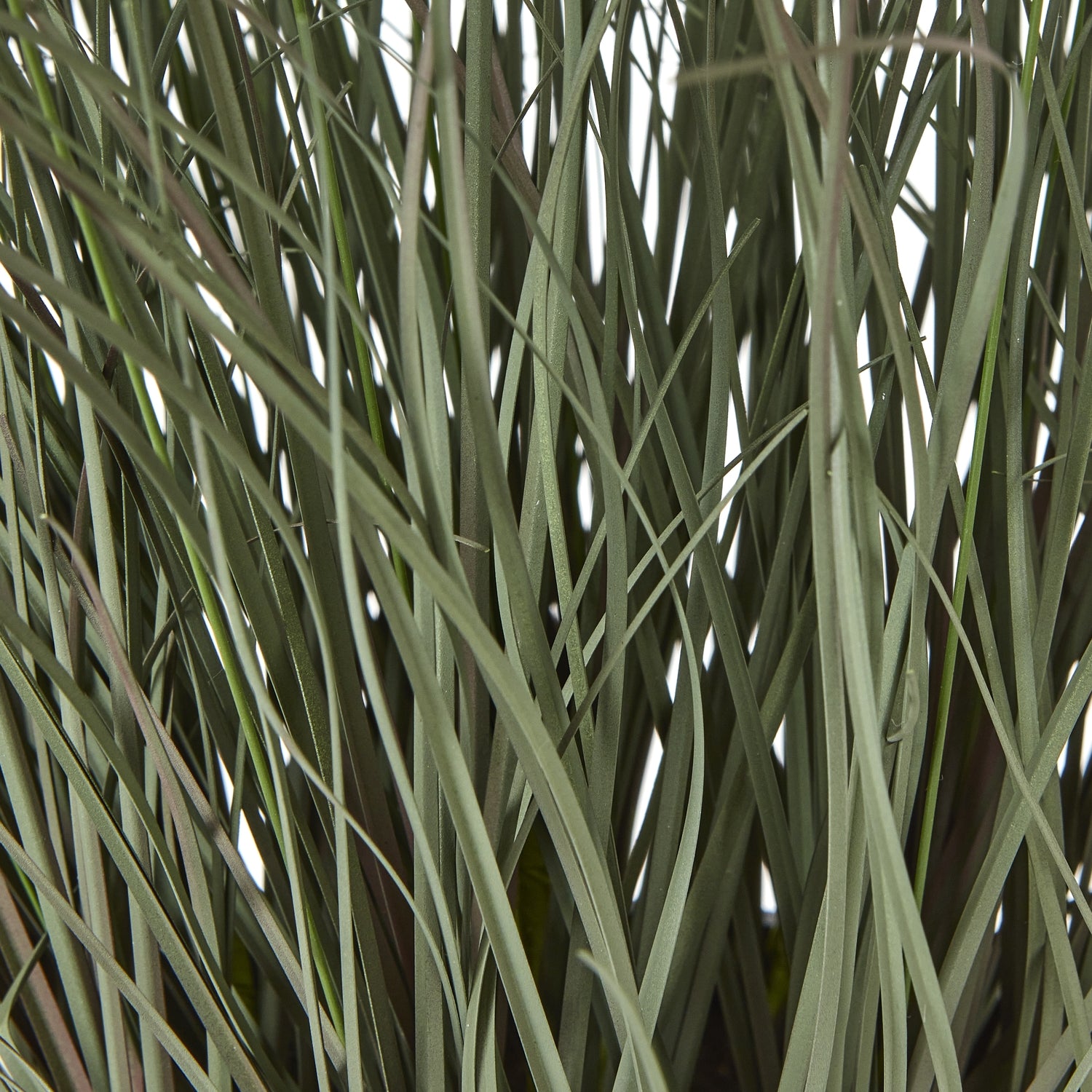 Fountain Grass Plant In Pot - All Artificial Potted Plants from the Quanta Home collection.
