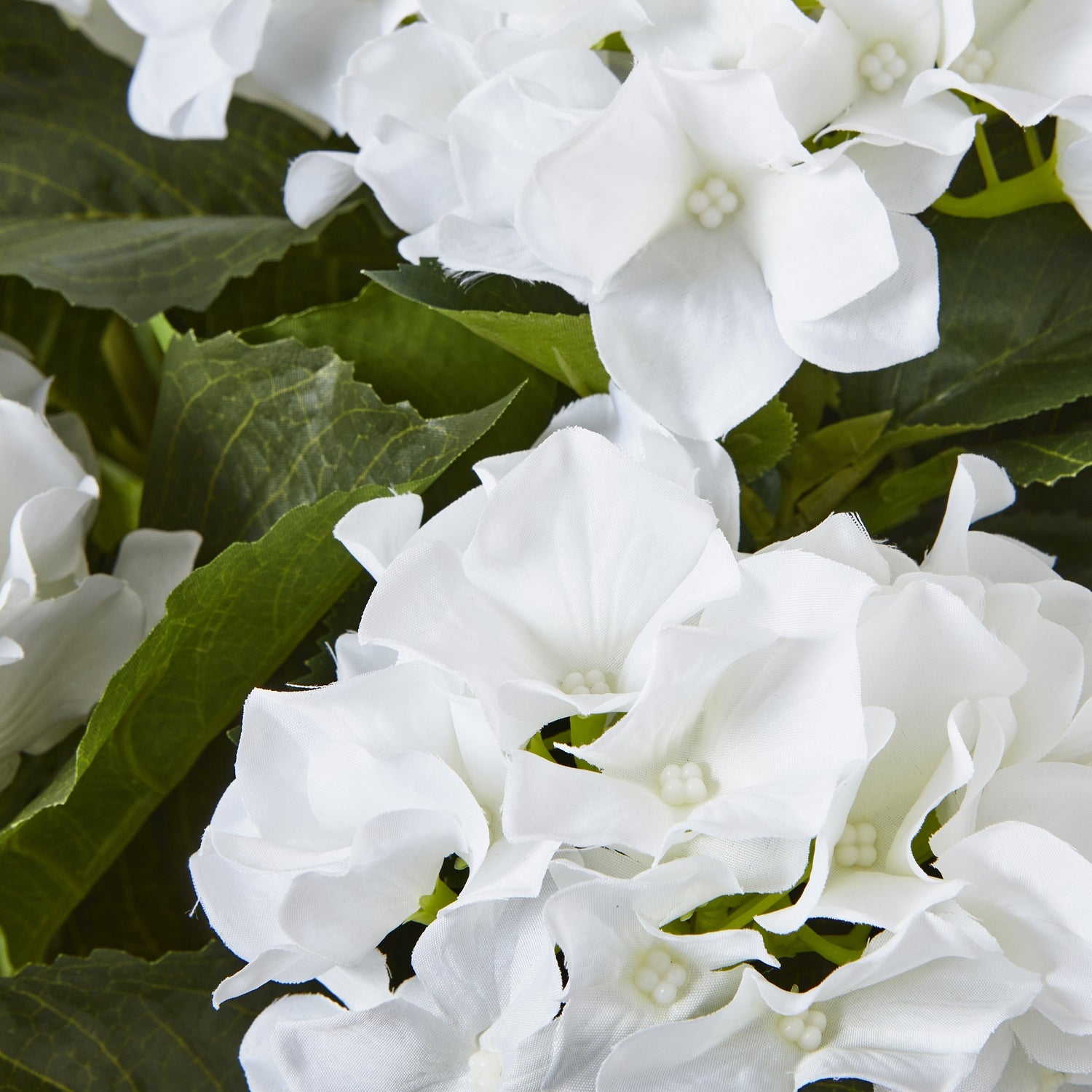 Large White Hydrangea Plant In Pot - All Artificial Flowers from the Quanta Home collection.