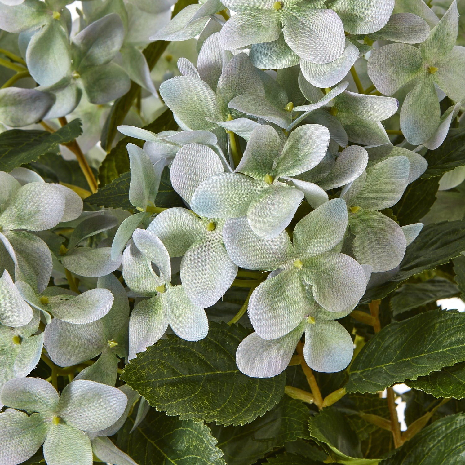 Medium Green Hydrangea Plant In Pot - All Artificial Flowers from the Quanta Home collection.