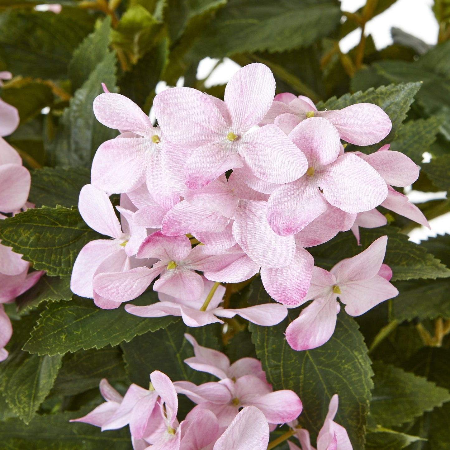 Large Pink Hydrangea Plant In Pot - All Artificial Flowers from the Quanta Home collection.