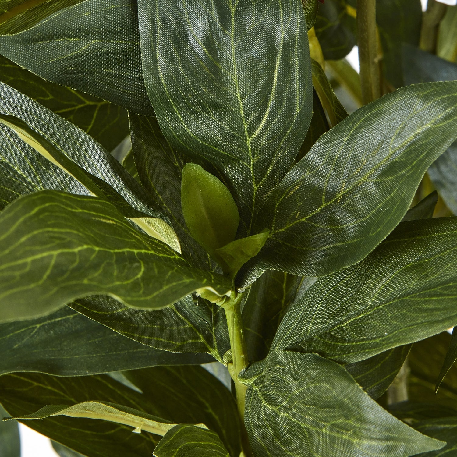Large White Peony Plant In Pot - All Artificial Flowers from the Quanta Home collection.