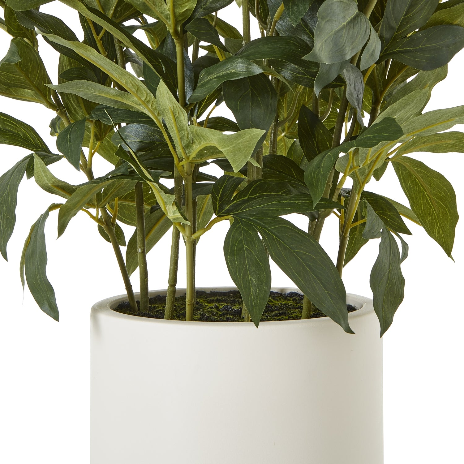 Large White Peony Plant In Pot - All Artificial Flowers from the Quanta Home collection.