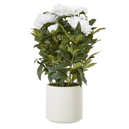 Large White Peony Plant In Pot - All Artificial Flowers from the Quanta Home collection.