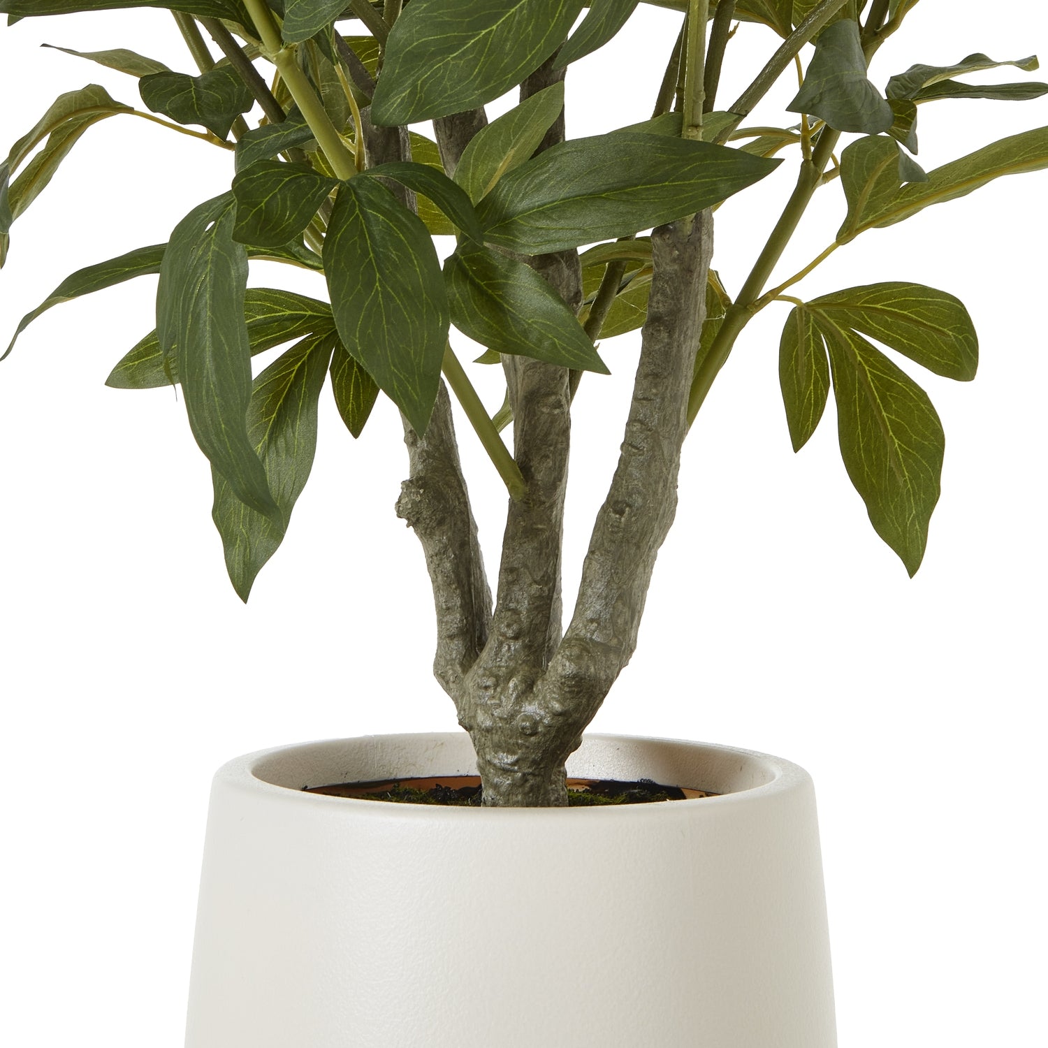 Extra Large White Peony Bush In Pot - All Artificial Flowers from the Quanta Home collection.