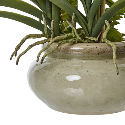 White Vanda Orchid Plant In Ceramic Pot - Potted Flowers from the Quanta Home collection.