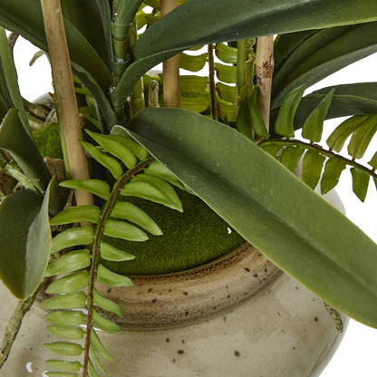White Vanda Orchid Plant In Ceramic Pot - Potted Flowers from the Quanta Home collection.