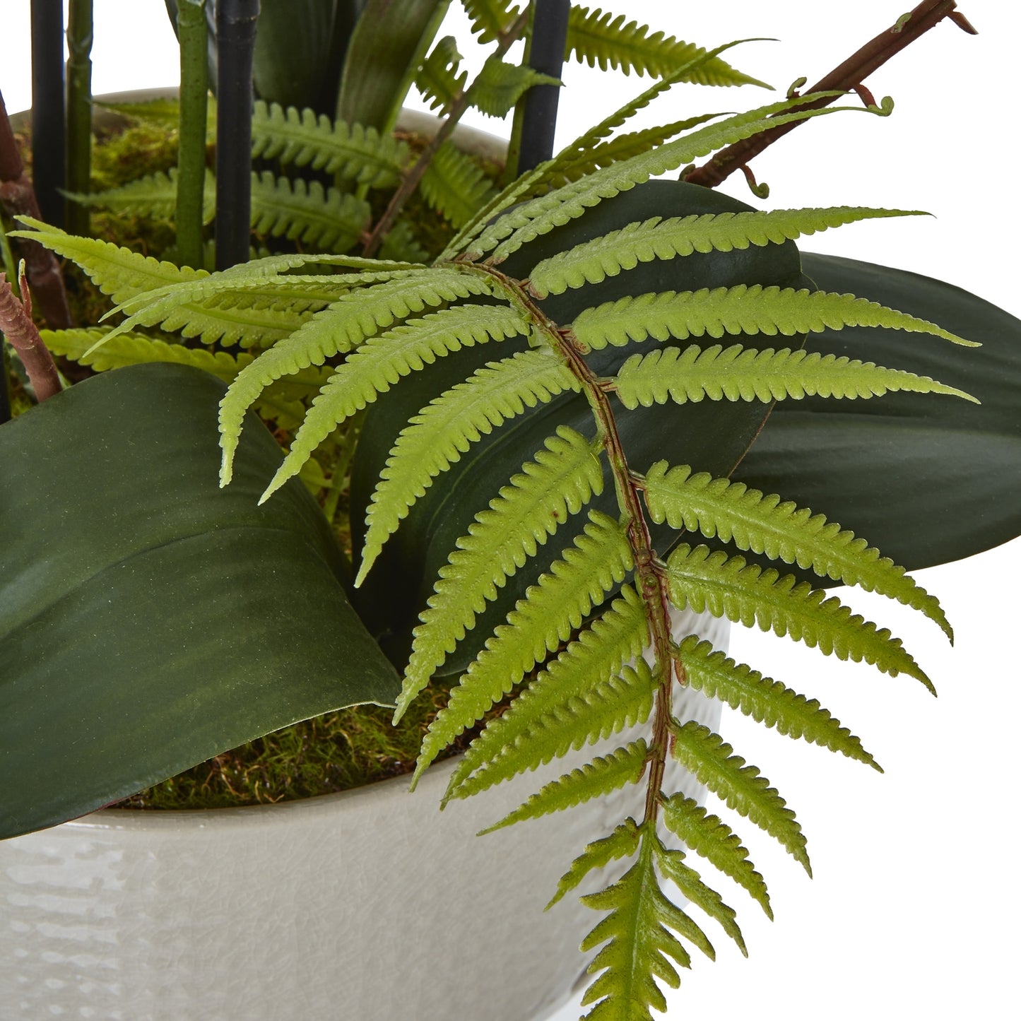 Large White Orchid In Ceramic Pot - Potted Flowers from the Quanta Home collection.