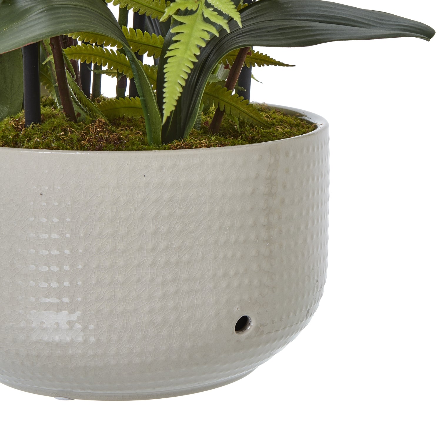 Large White Orchid In Ceramic Pot - Potted Flowers from the Quanta Home collection.