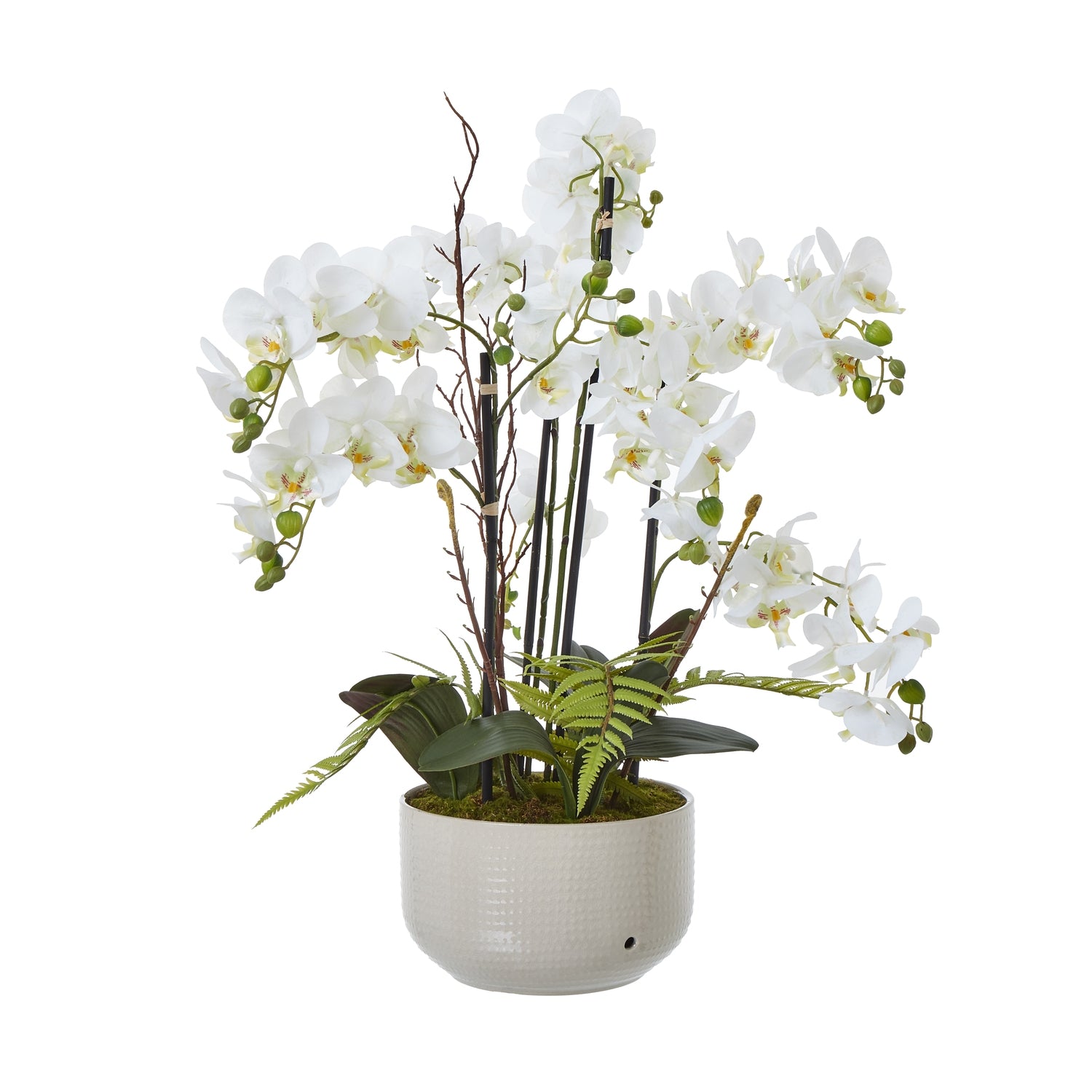 Large White Orchid In Ceramic Pot - Potted Flowers from the Quanta Home collection.