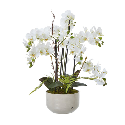 Large White Orchid In Ceramic Pot - Potted Flowers from the Quanta Home collection.