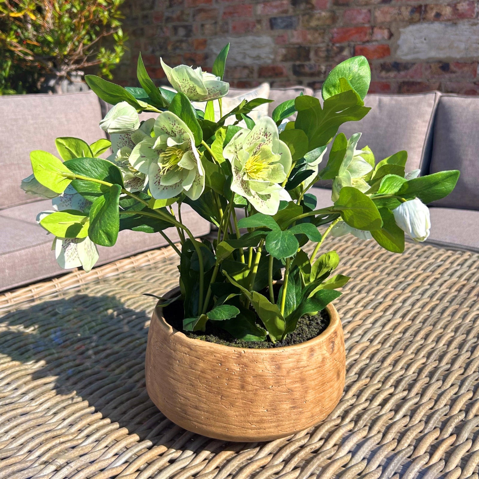 Green Hellebore Plant In Taupe Pot - All Artificial Flowers from the Quanta Home collection.