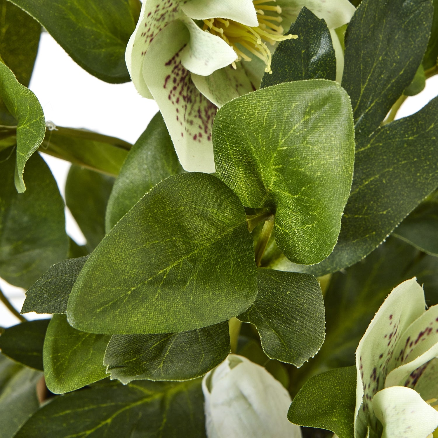 Green Hellebore Plant In Taupe Pot - All Artificial Flowers from the Quanta Home collection.