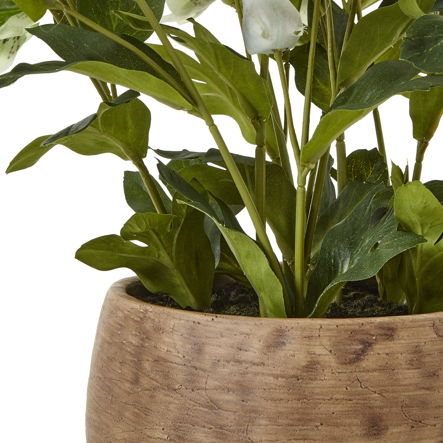 Green Hellebore Plant In Taupe Pot - All Artificial Flowers from the Quanta Home collection.