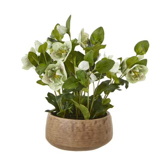 Green Hellebore Plant In Taupe Pot - All Artificial Flowers from the Quanta Home collection.