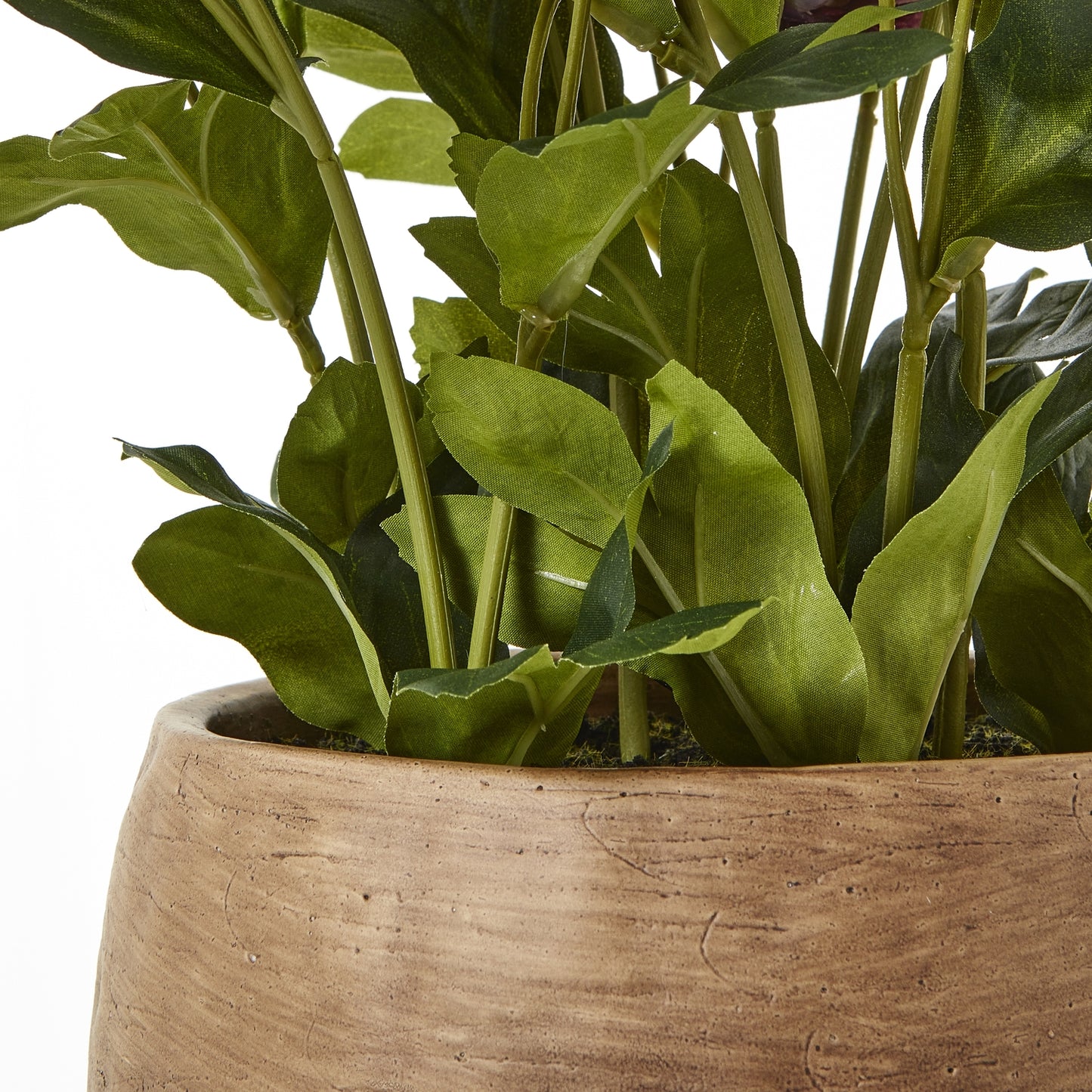Deep Plum Hellebore Plant In Taupe Pot - All Artificial Flowers from the Quanta Home collection.