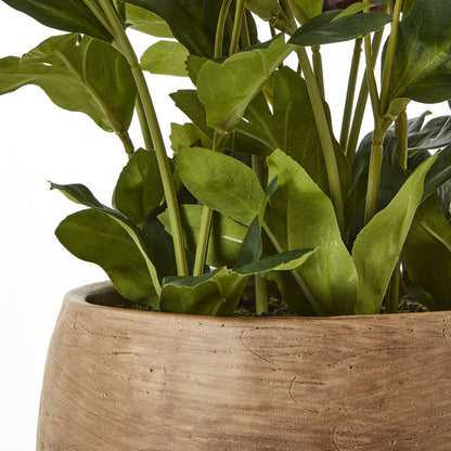 Deep Plum Hellebore Plant In Taupe Pot - All Artificial Flowers from the Quanta Home collection.