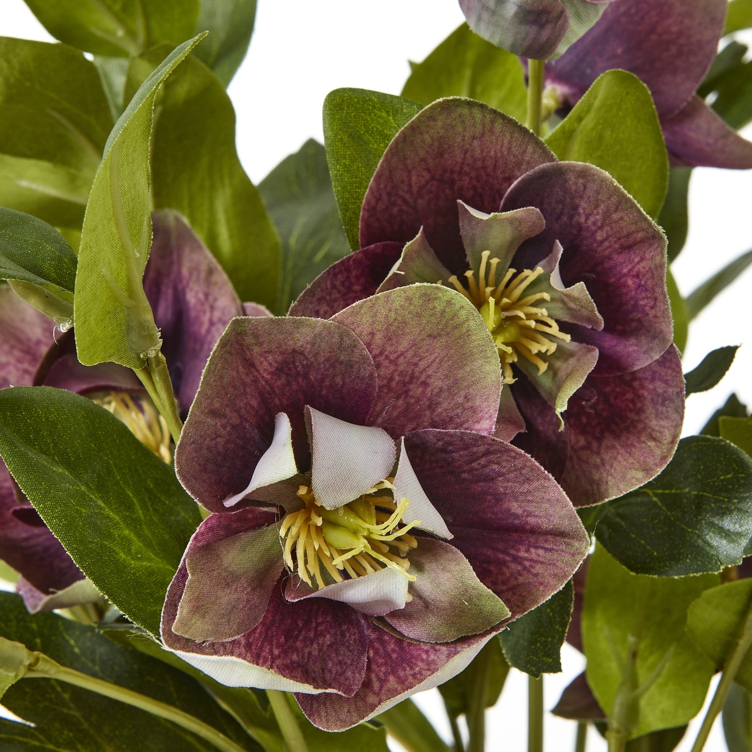 Deep Plum Hellebore Plant In Taupe Pot - All Artificial Flowers from the Quanta Home collection.