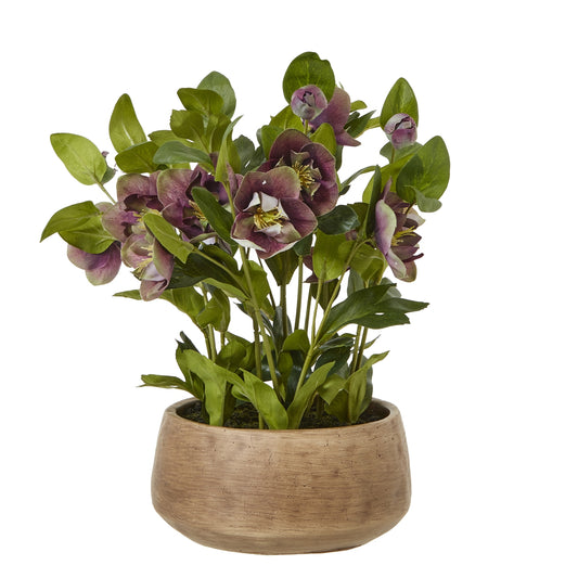 Deep Plum Hellebore Plant In Taupe Pot - All Artificial Flowers from the Quanta Home collection.