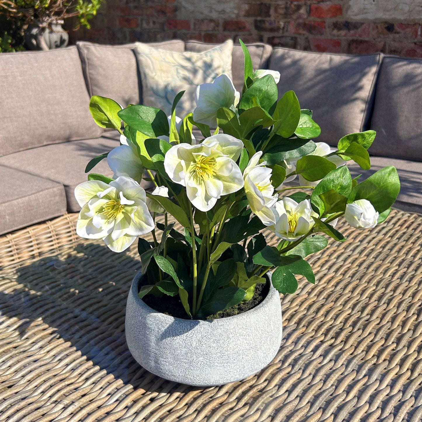 White Hellebore Plant In Grey Pot - All Artificial Flowers from the Quanta Home collection.
