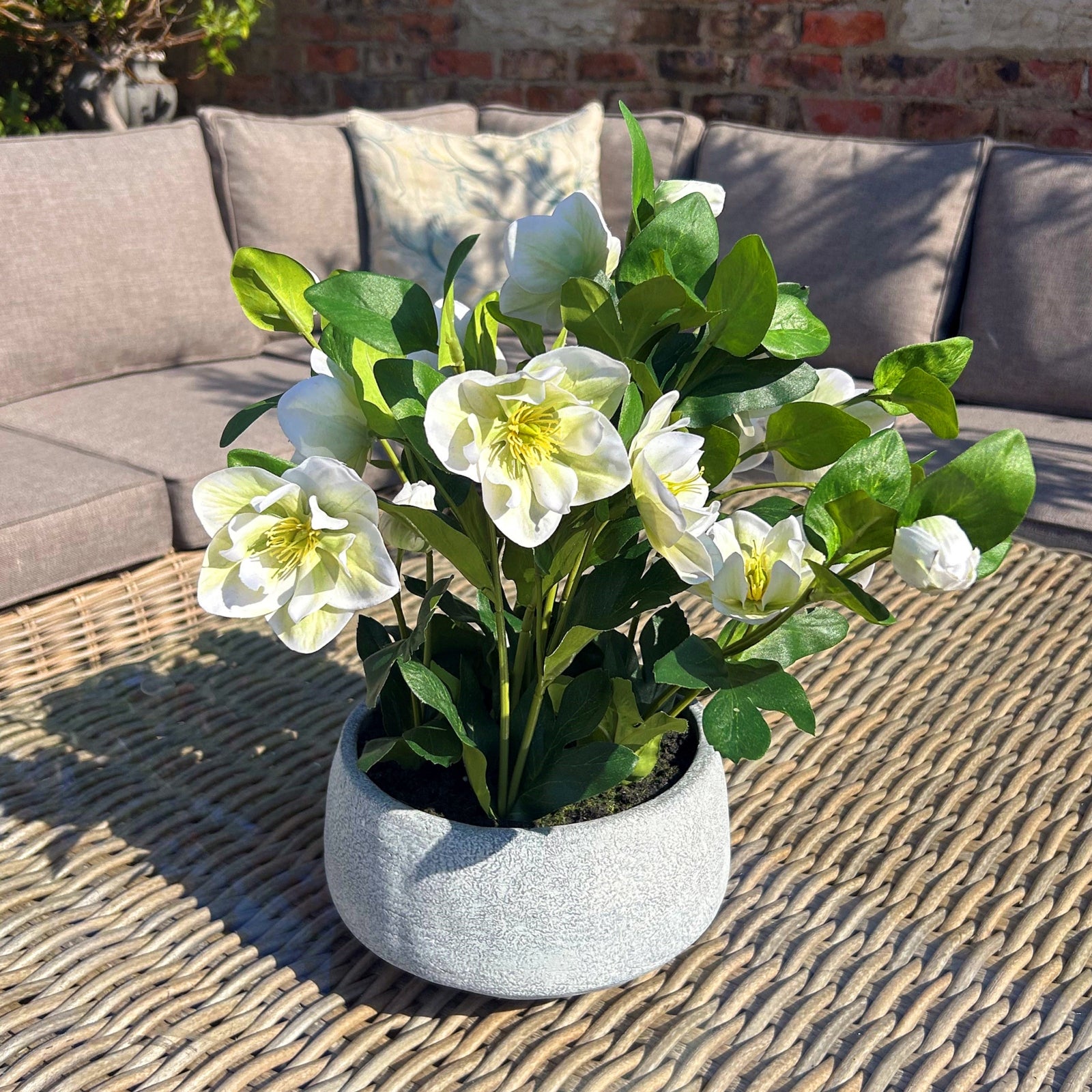 White Hellebore Plant In Grey Pot - All Artificial Flowers from the Quanta Home collection.