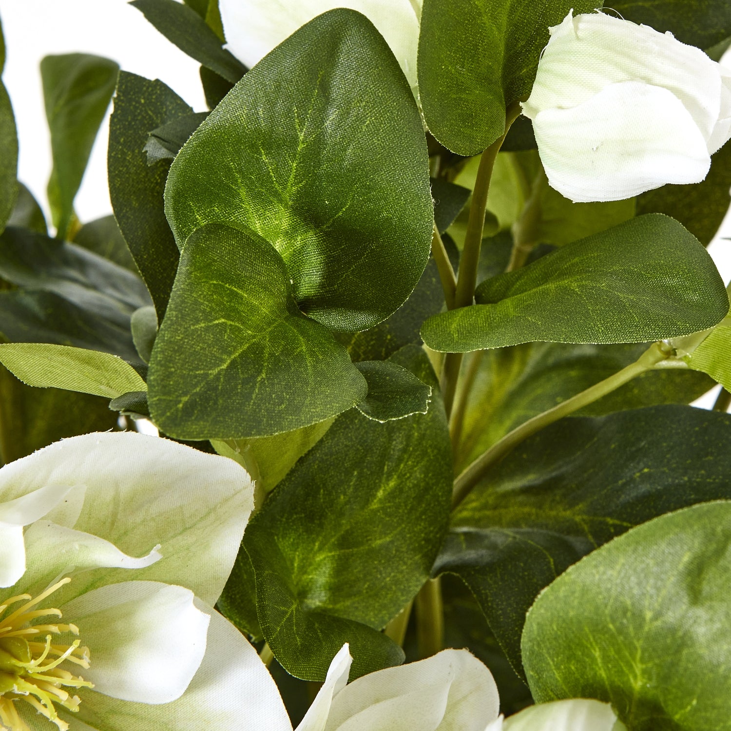 White Hellebore Plant In Grey Pot - All Artificial Flowers from the Quanta Home collection.