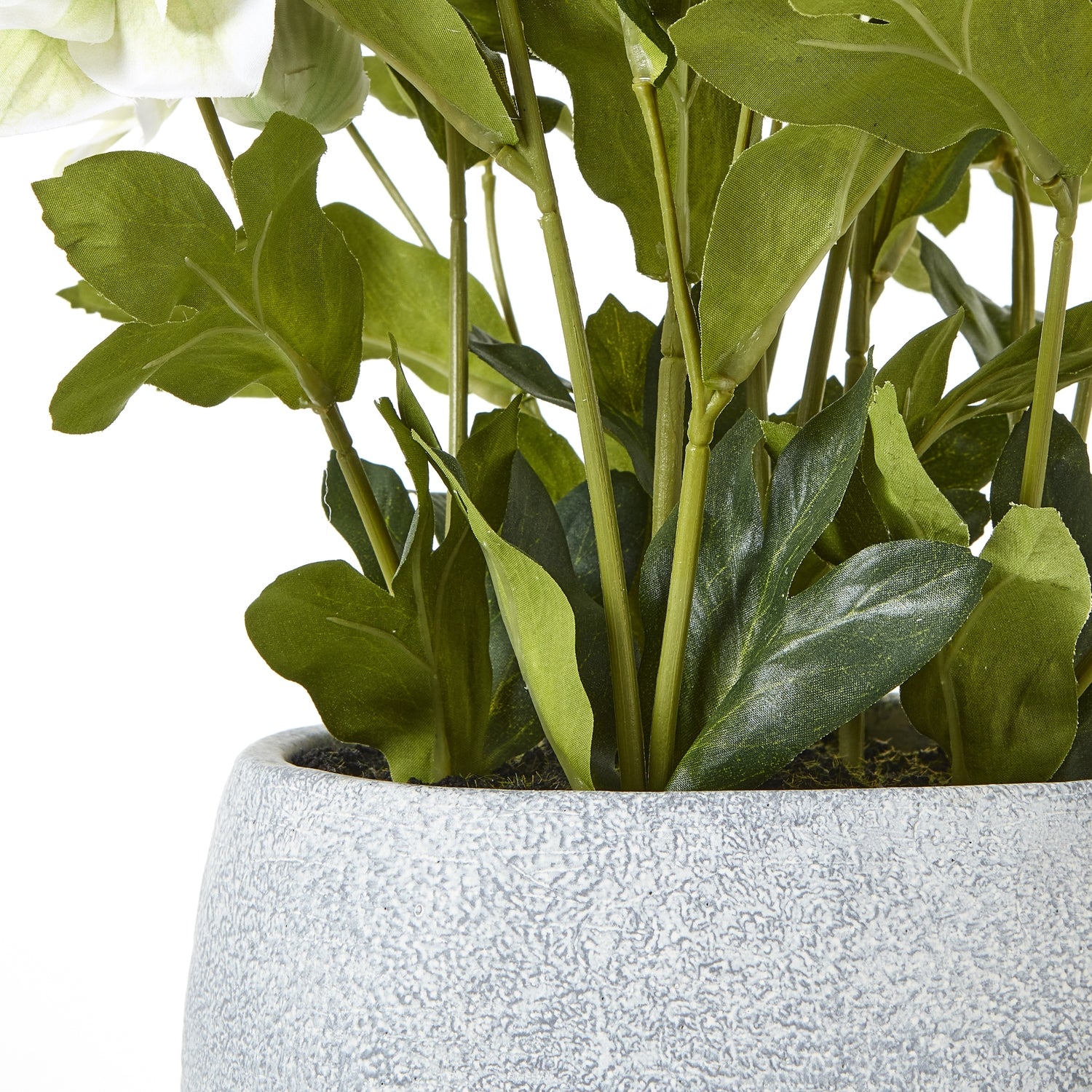 White Hellebore Plant In Grey Pot - All Artificial Flowers from the Quanta Home collection.