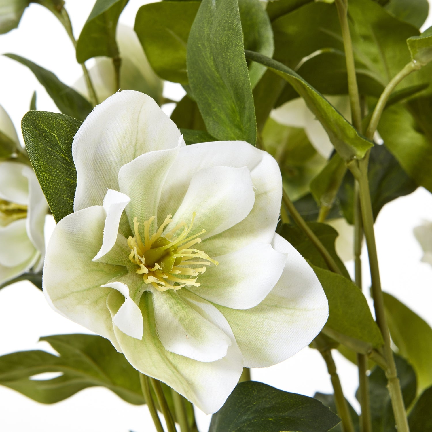 White Hellebore Plant In Grey Pot - All Artificial Flowers from the Quanta Home collection.
