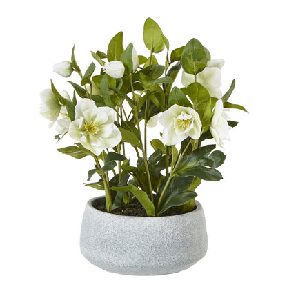 White Hellebore Plant In Grey Pot - All Artificial Flowers from the Quanta Home collection.