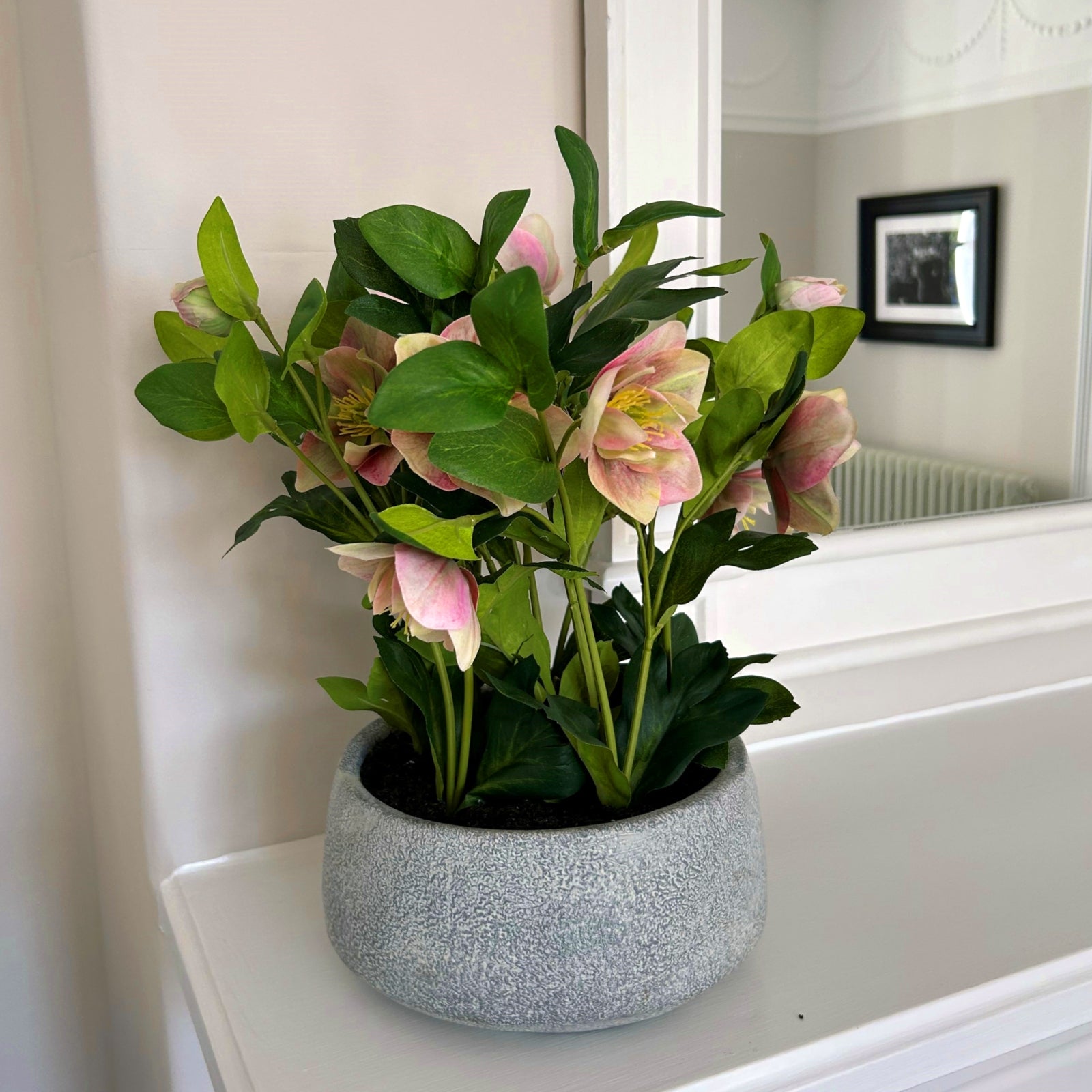 Variegated Pink Hellebore Plant In Grey Pot - All Artificial Flowers from the Quanta Home collection.