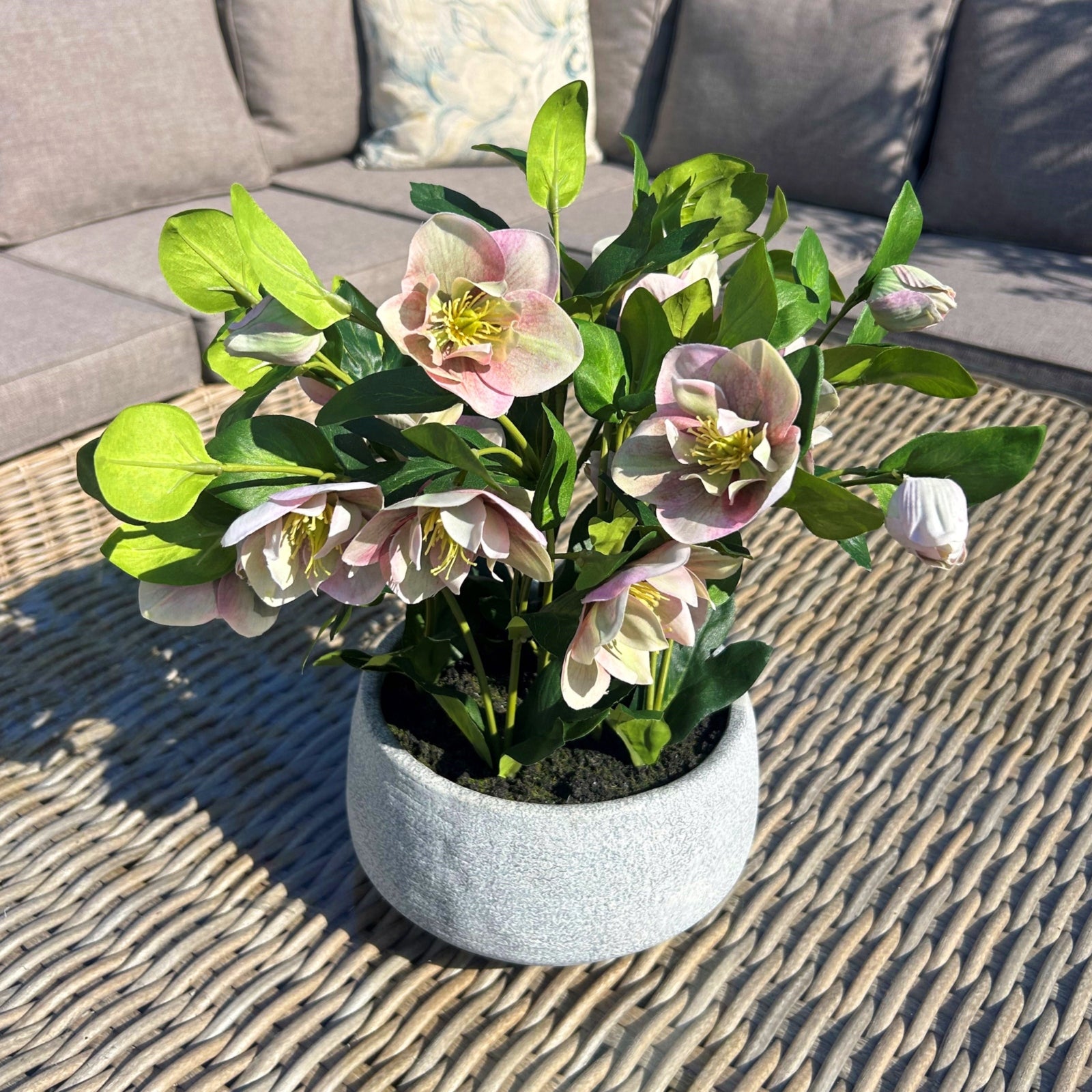 Variegated Pink Hellebore Plant In Grey Pot - All Artificial Flowers from the Quanta Home collection.