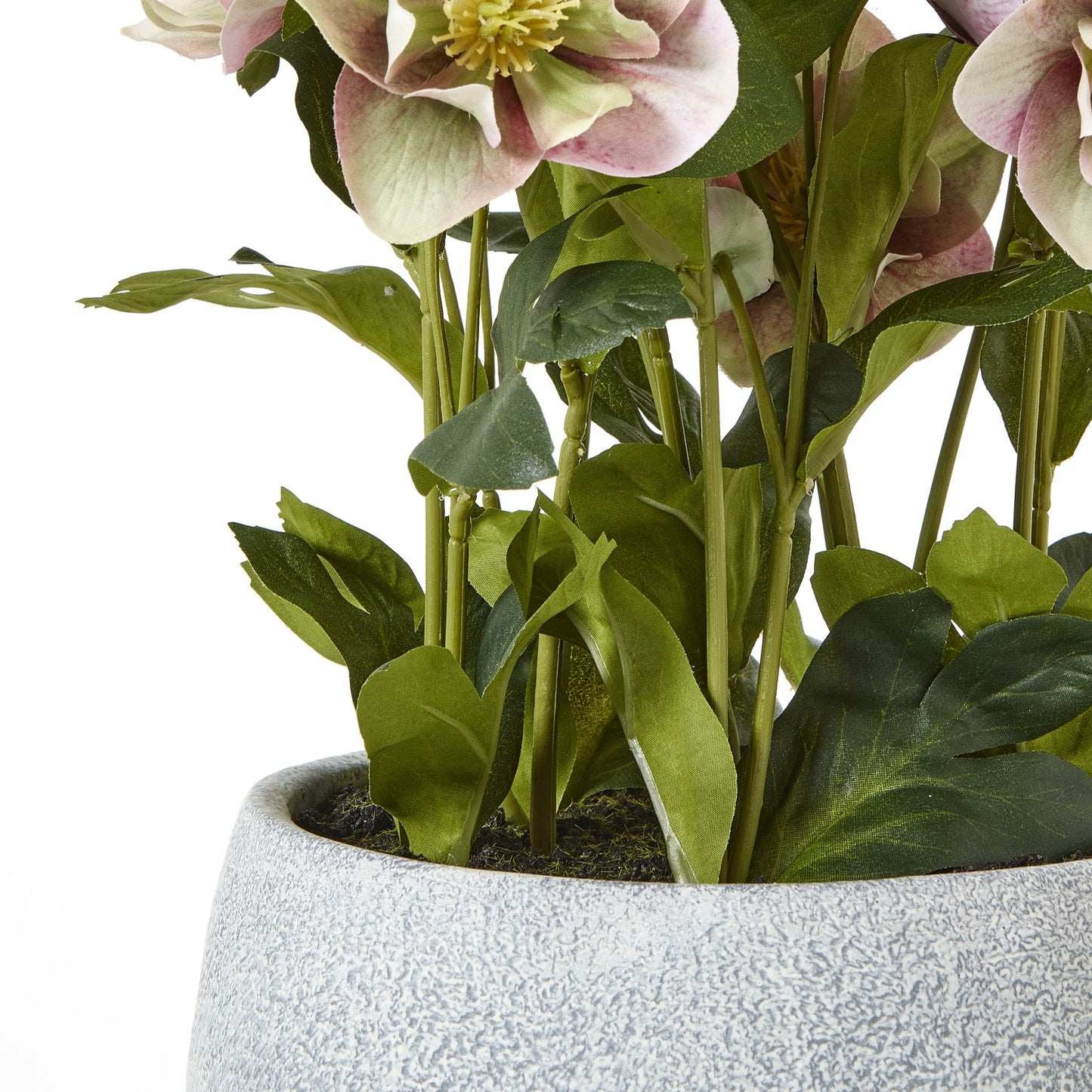 Variegated Pink Hellebore Plant In Grey Pot - All Artificial Flowers from the Quanta Home collection.