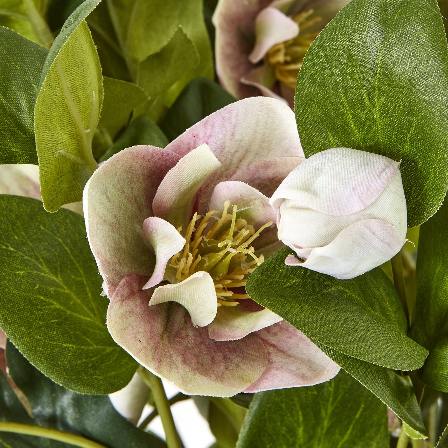 Variegated Pink Hellebore Plant In Grey Pot - All Artificial Flowers from the Quanta Home collection.