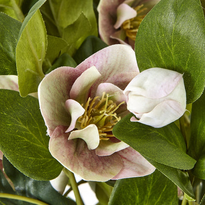 Variegated Pink Hellebore Plant In Grey Pot - All Artificial Flowers from the Quanta Home collection.