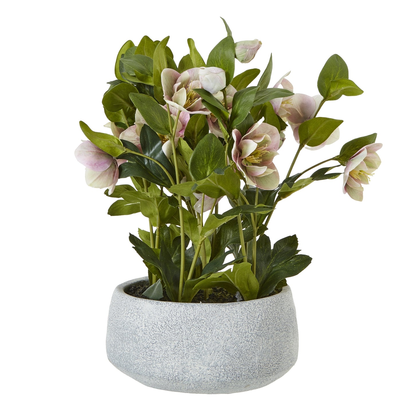 Variegated Pink Hellebore Plant In Grey Pot - All Artificial Flowers from the Quanta Home collection.