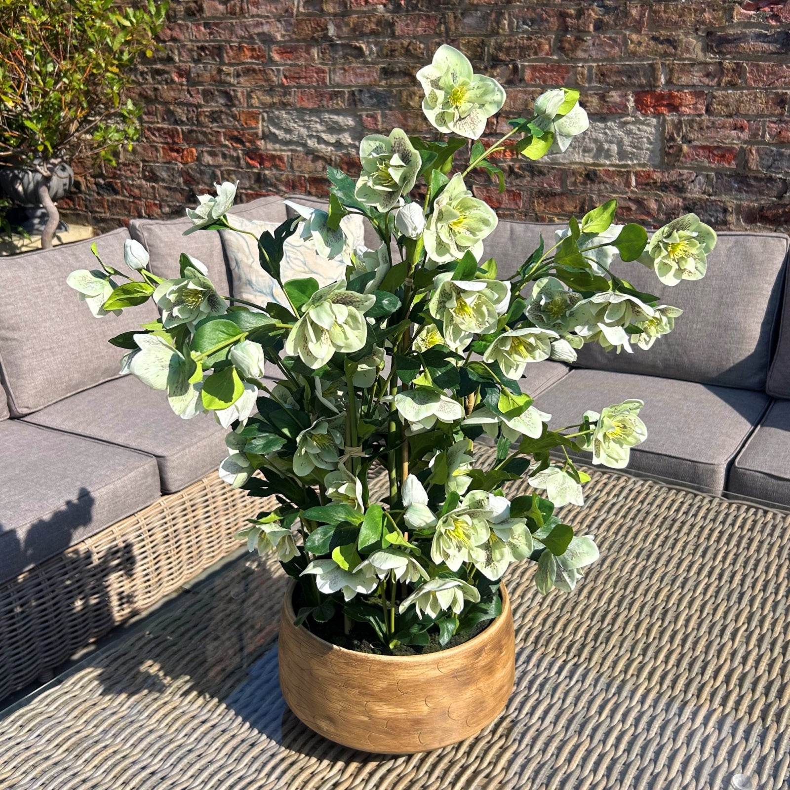 Large Green Hellebore in Taupe Pot - All Artificial Flowers from the Quanta Home collection.