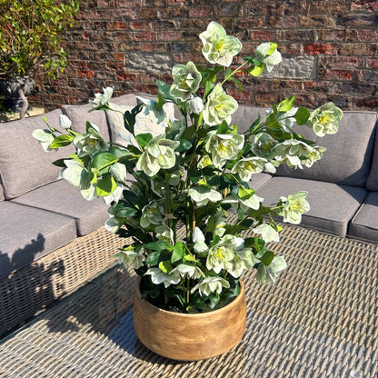 Large Green Hellebore in Taupe Pot - All Artificial Flowers from the Quanta Home collection.