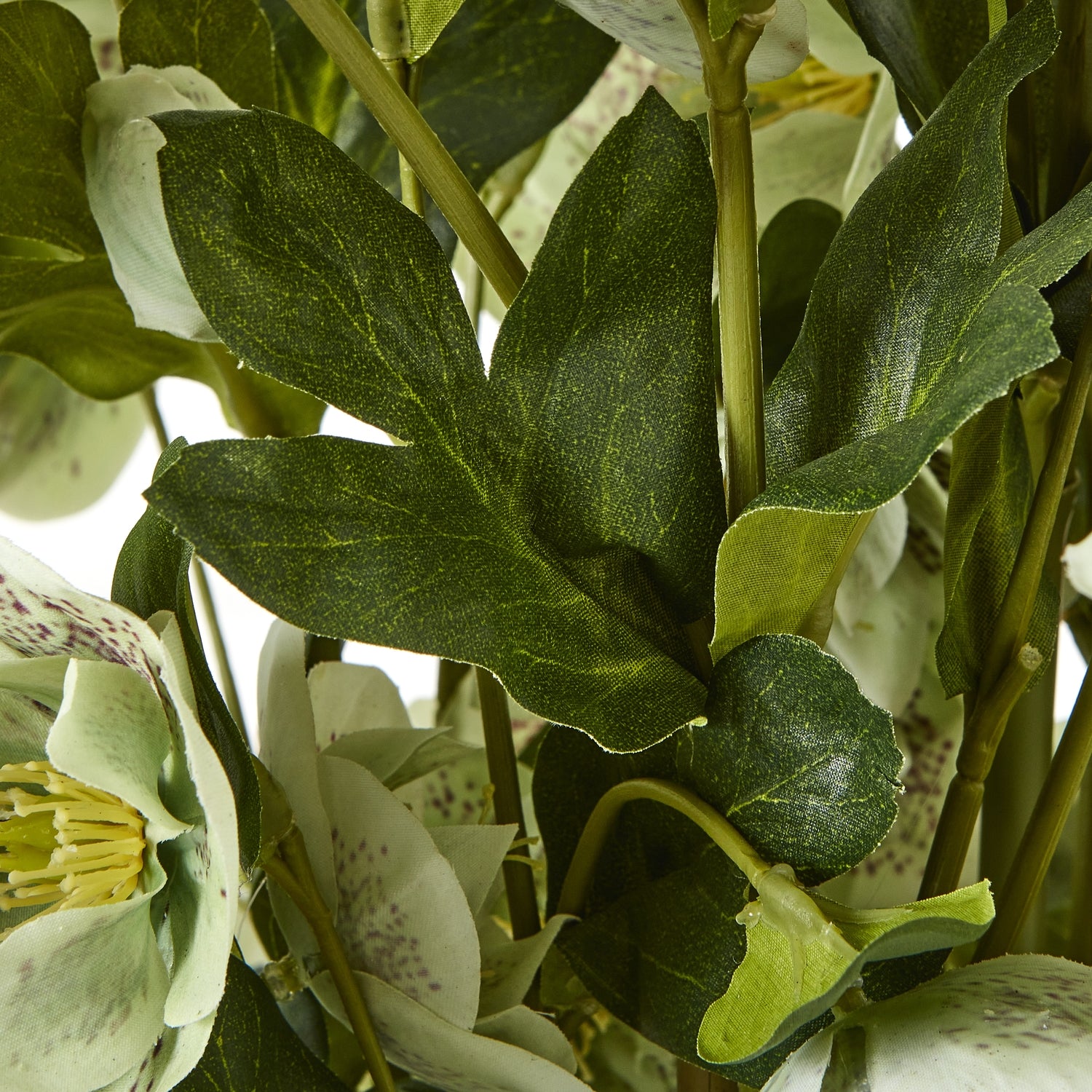 Large Green Hellebore in Taupe Pot - All Artificial Flowers from the Quanta Home collection.