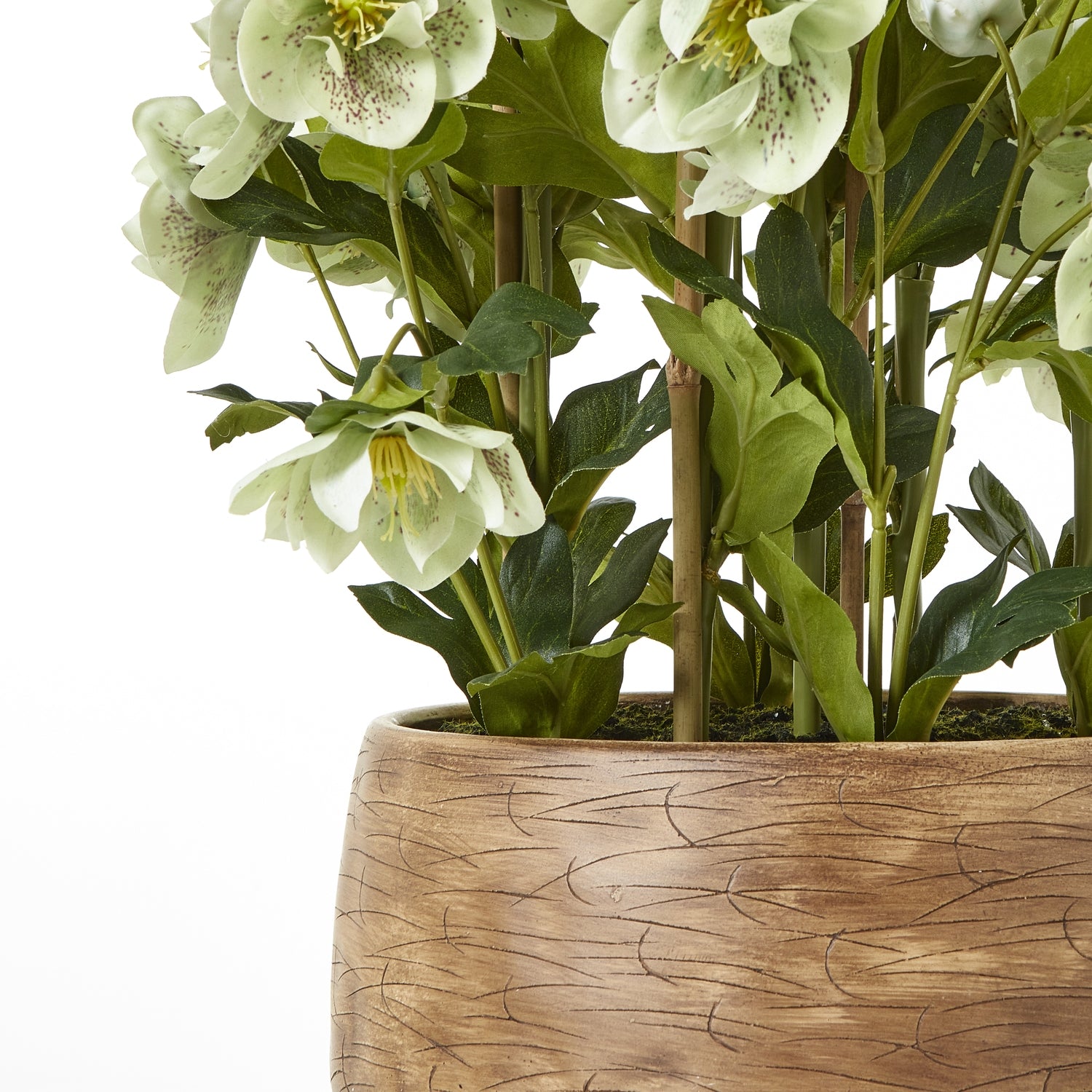 Large Green Hellebore in Taupe Pot - All Artificial Flowers from the Quanta Home collection.