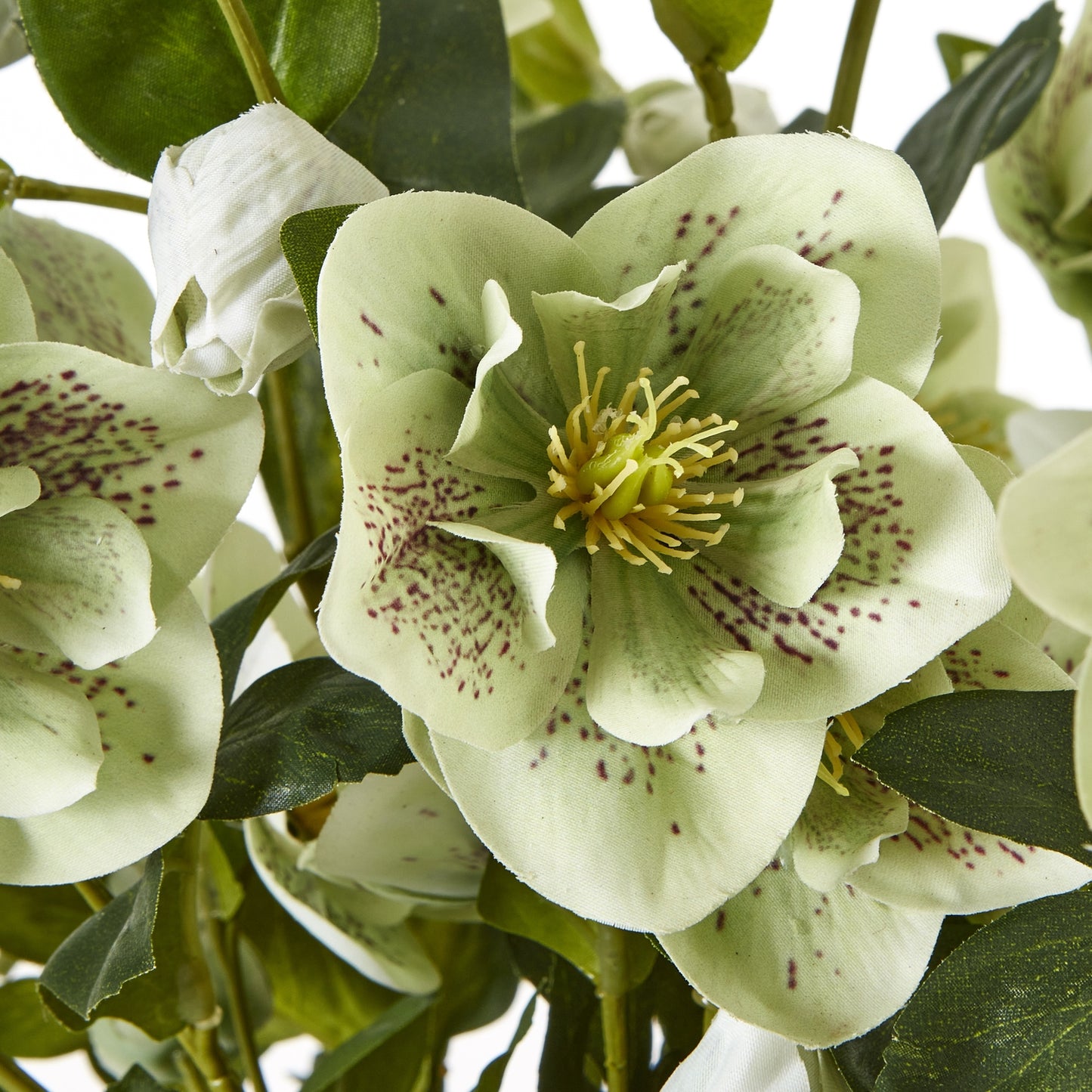 Large Green Hellebore in Taupe Pot - All Artificial Flowers from the Quanta Home collection.