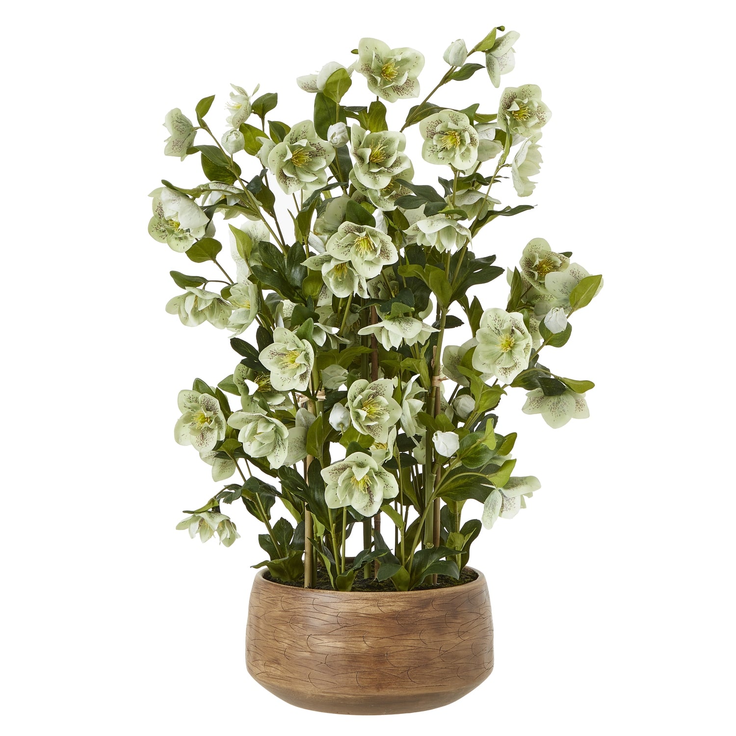 Large Green Hellebore in Taupe Pot - All Artificial Flowers from the Quanta Home collection.