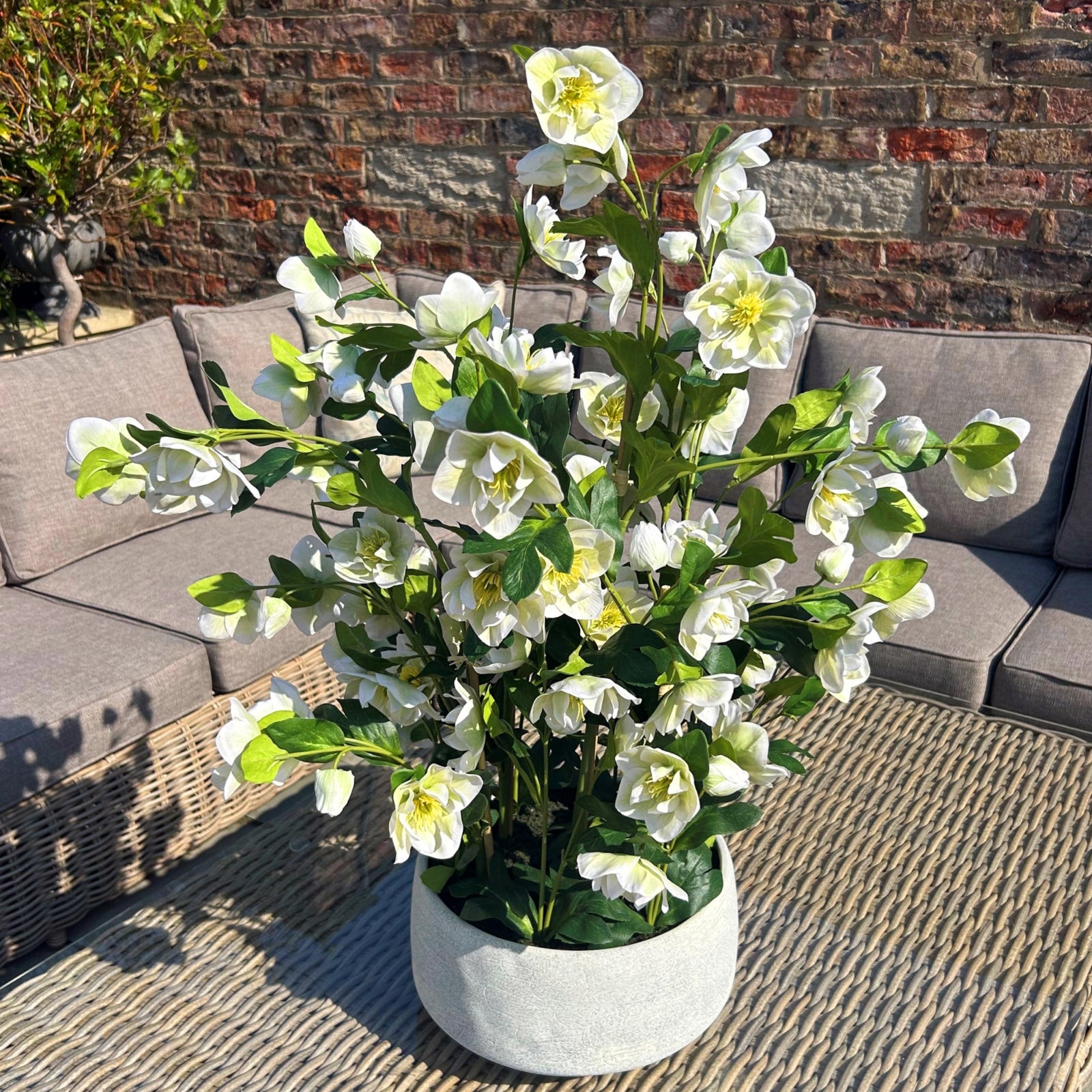 Large White Hellebore In Grey Pot - All Artificial Flowers from the Quanta Home collection.
